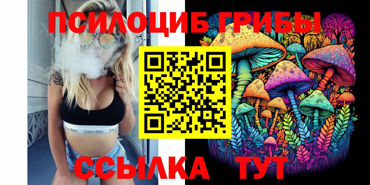 Можга  Псилоцибиновые грибы Cubensis  Галлюциногенные грибы MAGIC MUSHROOMS  Вход с VPN 